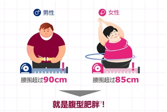 危害|腹型肥胖比全身肥胖危害更大,且更难减?科学减“腹”了解一下