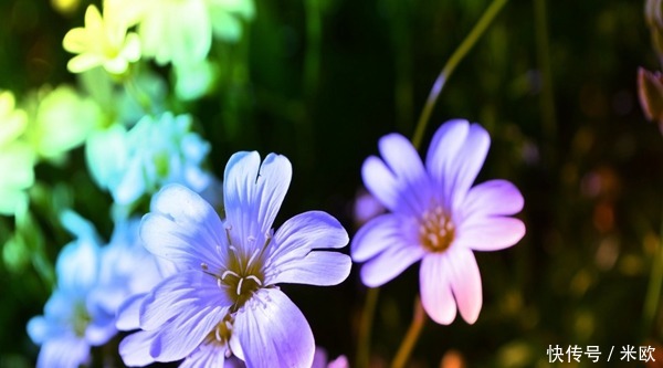 除冰箱异味的五法宝!除冰箱异味的五法宝!