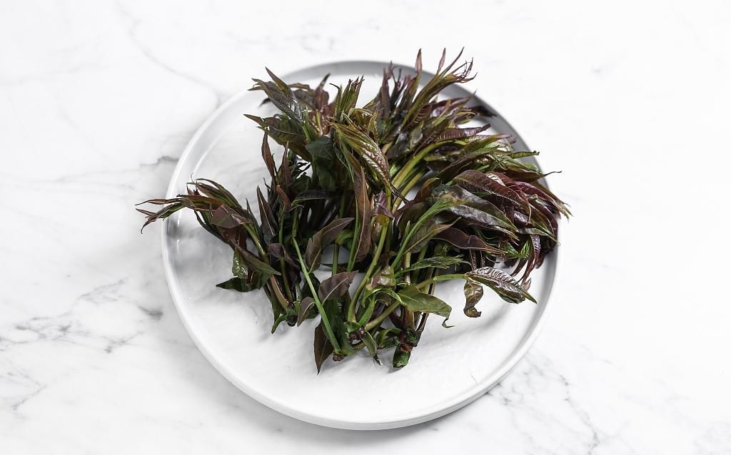 春天常吃的7種春菜，功效多多，快來食用吧！