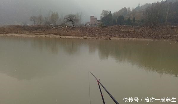 核心|冬季钓鱼困难多,核心技巧就两个,牢记这两招,天冷也不会走空!