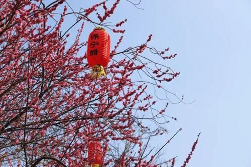 踏青出游～人间春已至，古城花已开