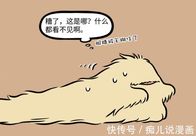 非人哉|非人哉:当金蟾成功变成毛茸茸后,杨戬就长了一条尾巴了