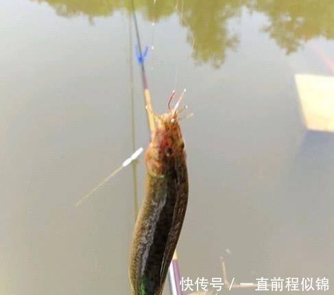 钓鱼太费钱所以能省就省在这几个环节省了钱,你多半会空军!