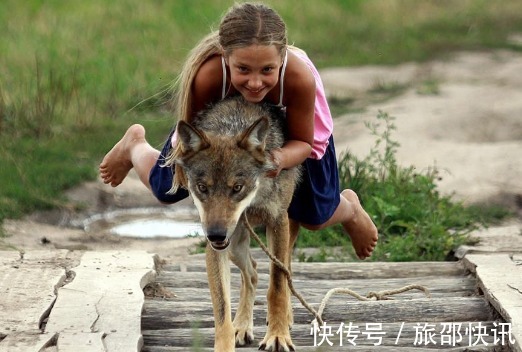 王员|好心人母乳喂养狼崽,狼崽却叼走自己的女儿,原来竟是为了报恩