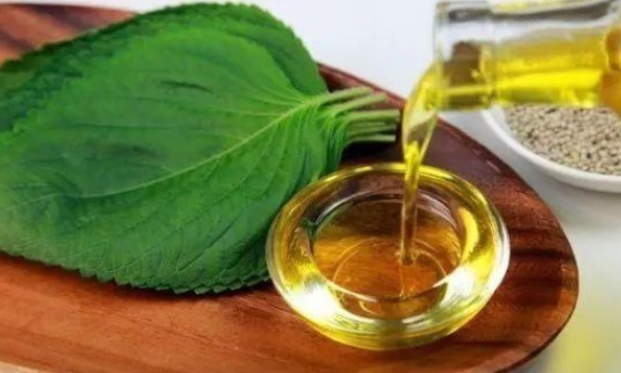 父母|男孩一天抽搐20次，取出8厘米裂头蚴，医生怒斥家长太无知