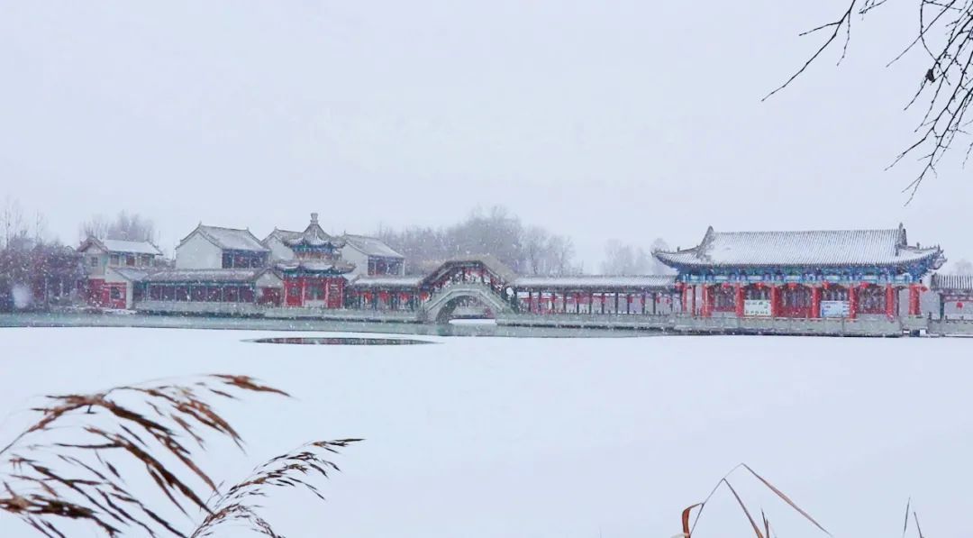 静谧|大美临洮：明园落雪，静谧深沉中国风！