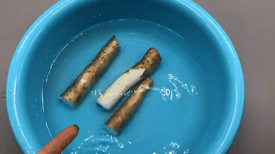 去皮|今天才知道，山药去皮一根筷子就能搞定，手不粘也不痒，简单又快！