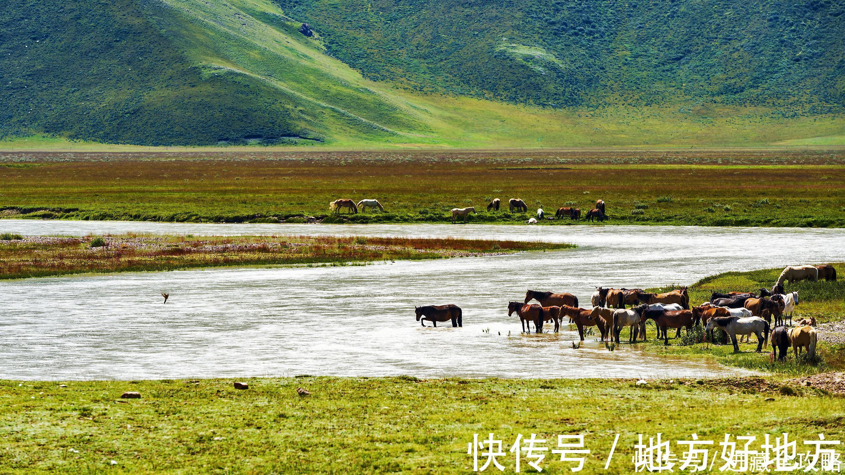 沙俄政府|它是巴音布鲁克草原上最后一座移动的寺庙，你注意到了吗？