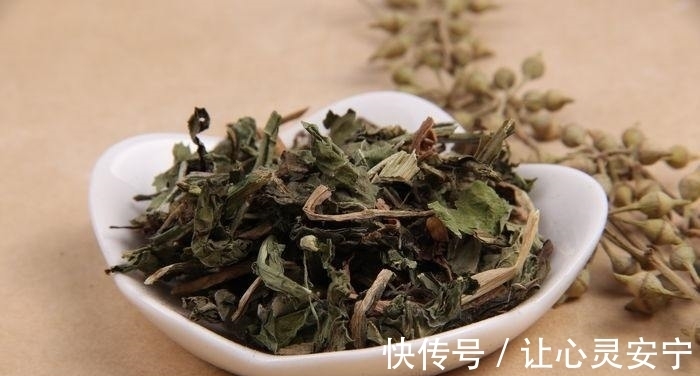 蒲公英|蒲公英不是万能药，但四个主要作用名不虚传，希望不要喝错