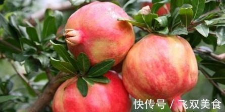 草莓提取物|糖尿病人,常吃以下6种水果,对身体非常好!