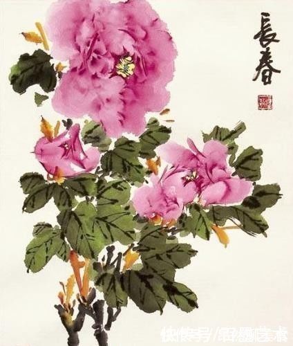 小写意@唯有牡丹真国色！小写意牡丹画150幅，美醉了