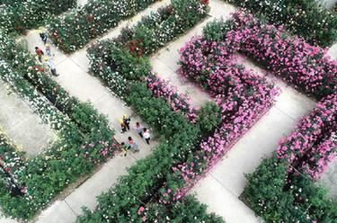 中国空间站天和核心舱发射任务成功