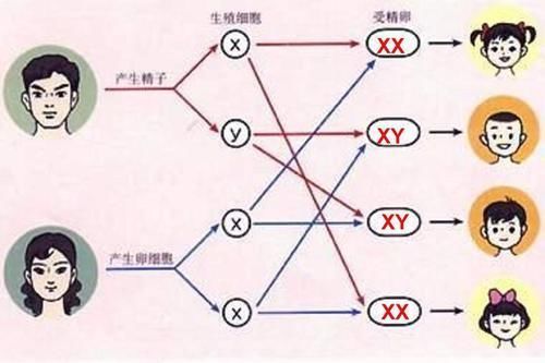 妈妈|妈妈最容易遗传给儿子的3个地方,并不是瞎说,而是有根据的