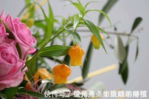 此花犹如一串串灯笼挂树上,外形娇俏可爱,寓意着庆祝