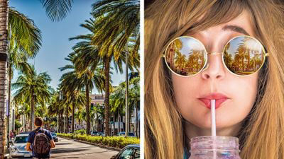it之家|Adobe 发布 Photoshop Elements 和 Premiere Elements 2022