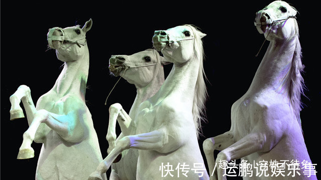 26个冷知识:书本上不会有,但却真实存在着