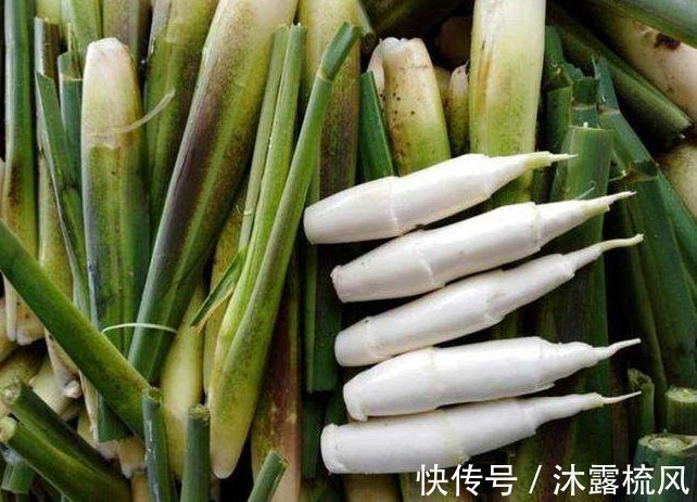 毒素|这些蔬菜含有5种毒素,切记煮熟再吃!避免3个误区,更营养更健康