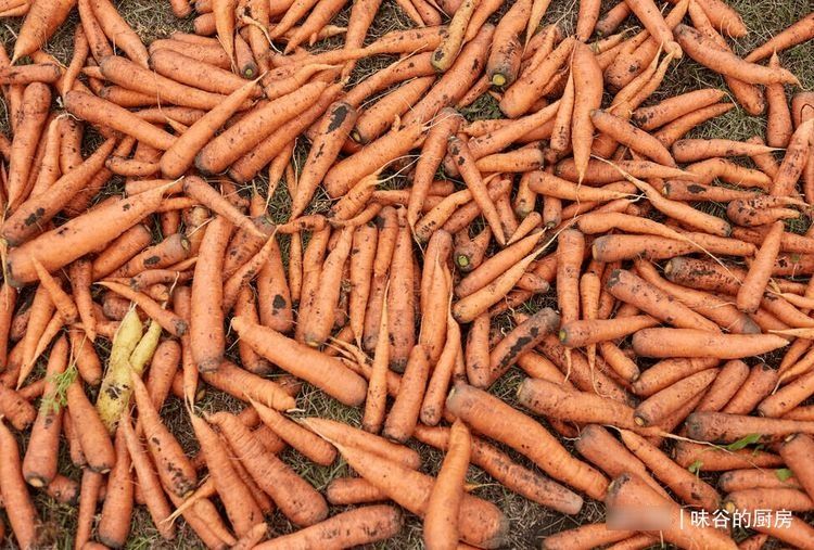 买胡萝卜,选干净的还是带泥的?老菜农:区别挺大,挑错了不好吃