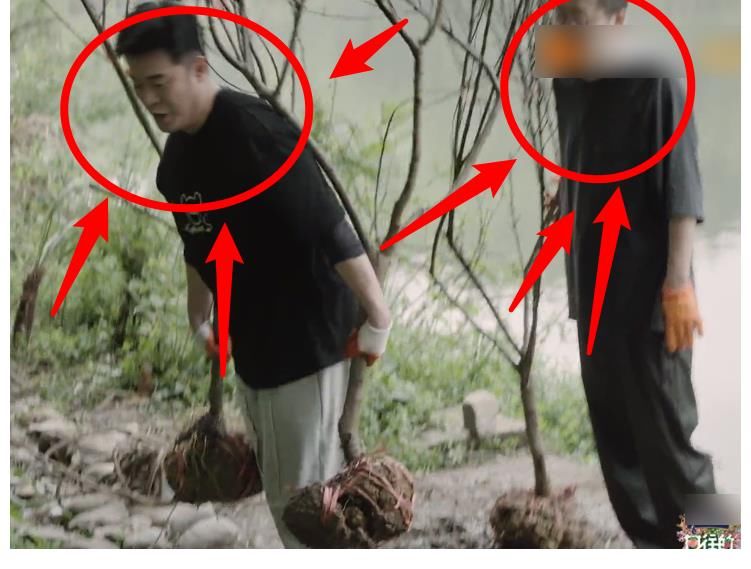 《向往5》節(jié)目組真敢請(qǐng)，把兩位最懶嘉賓放一起錄節(jié)目，熱鬧了！