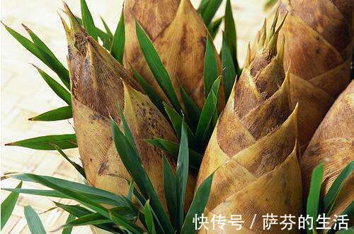 荠菜|农村此几种野菜,有钱人当成宝,恨不得天天吃,营养不输冬虫夏草