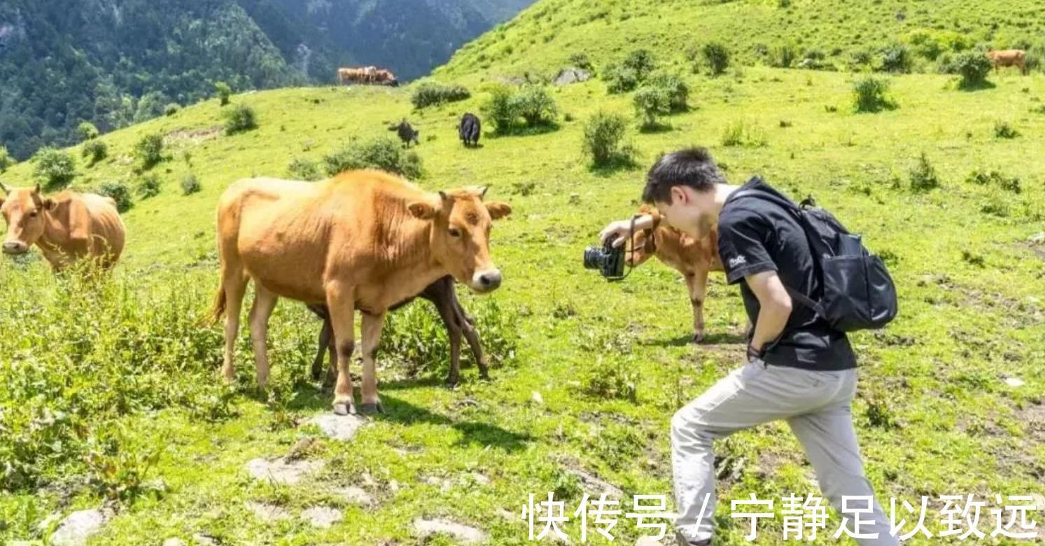 海拔|成都“红叶”打卡地：2h直达原始密林，周末小长假必选！