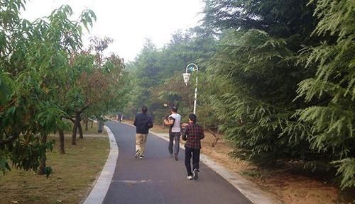 锻炼身体|骨科大夫：不论男女，50岁后，3项运动不宜多做，太毁膝盖