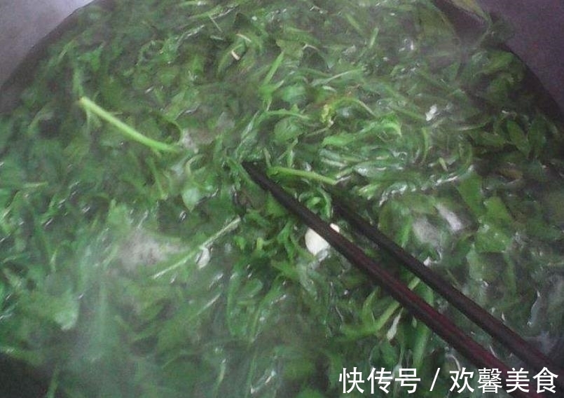 饺子|含钙量比牛奶高,常吃对眼睛好,3块钱一斤,用来包饺子才好吃