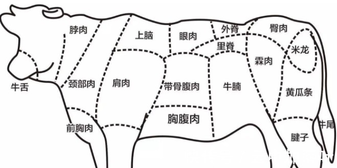 买牛肉时,一定喊出这5个词,老板一听是懂行的,不敢糊弄你!