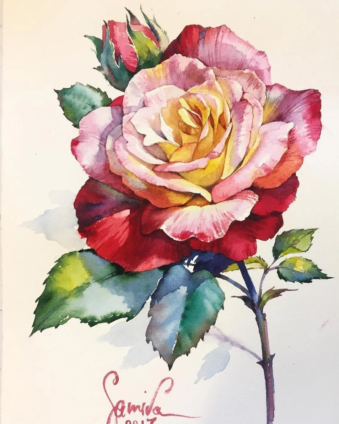 水彩@世界前100名的美女画家,作品深入人心,刚刚画完就被收藏