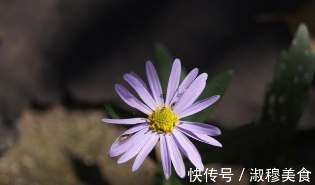 和为贵&一个人福报来临前的四个迹象，有一个，也要恭喜了