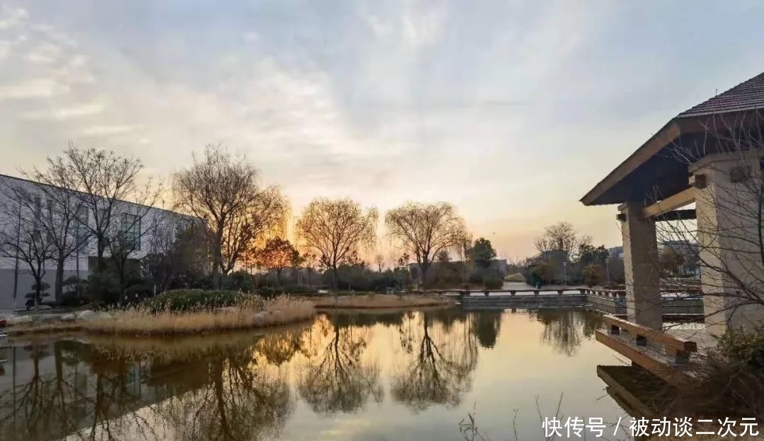 郑州电专|郑州电专“练习生”正式出道!