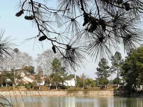 什刹海|亲历｜金甲古镇搭帐篷、晒太阳、看夕阳