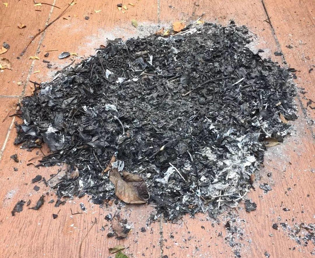 “蚯蚓粪”养花也不赖，增粉还透气，啥花都能养好！