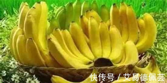 尿路感染|世界上公认十大健康水果 看看你吃过几种