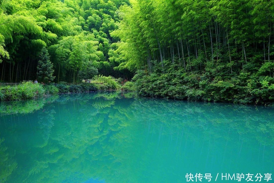 中国最美竹海：拥有近4万亩翠绿的竹林，常年青翠就在苏皖边界