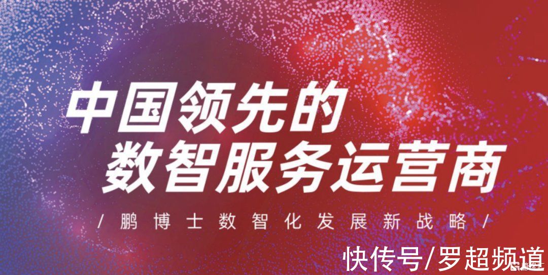 服务商|“数智服务运营商”要火，鹏博士如何独占鳌头？