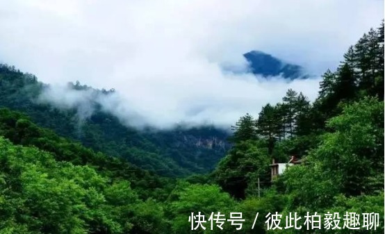 野生|清凉宜人，风景秀丽周末相约青峰峡，共度愉快时光！