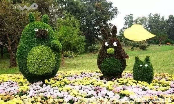 塑造|植物塑造出来的造型简直美炸了,你见过这样的植物吗?
