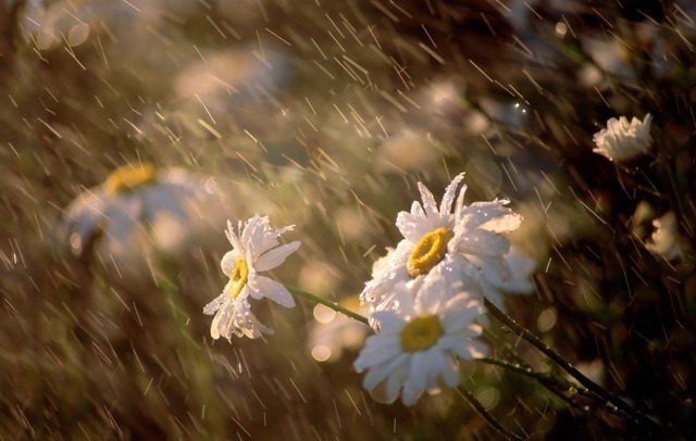 小王|爸爸给孩子取名“宇凡”,护士手误多加一笔,宝妈开心:恰到好处