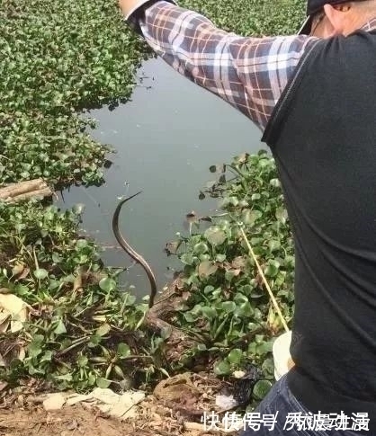 高手在民间,最新双铅通线单钩法,喜欢野钓别错过