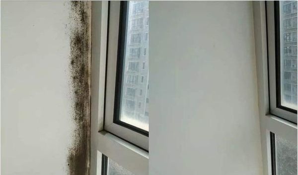 鸡肋|家里的这6种东西,已经被时代淘汰,看似实用,实际却是鸡肋