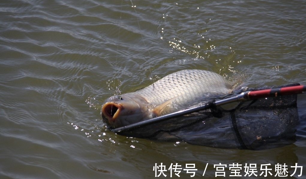 水温|白露到、鱼好钓，这几条技巧要牢记！