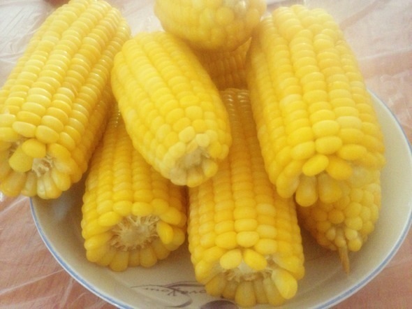 此物|玉米和此物煮粥喝,气血足了,肝脏也干净了,皮肤细腻有光泽!