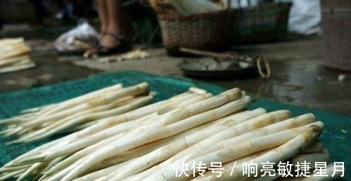 淤泥|淤泥中一种野菜，长得像藕带，离水后很快就老！