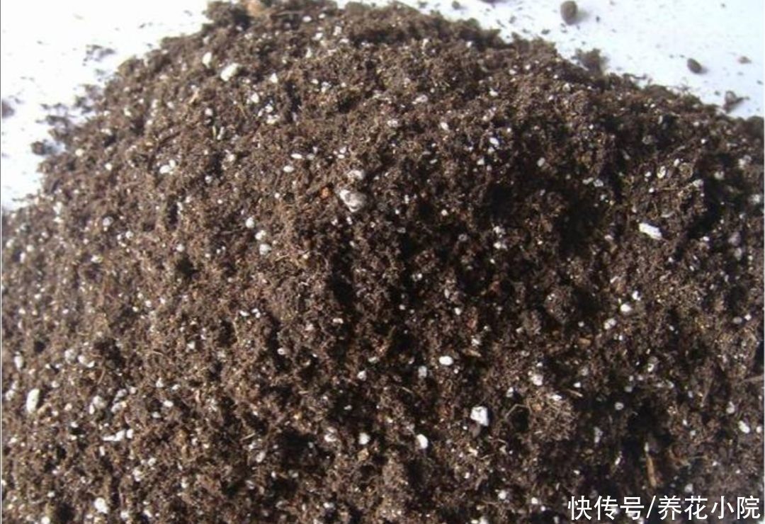 花友们|营养土不用买,几种材料掺一起,养分充足又松软,适合养各种花