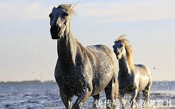 横财|人无一世穷：生肖马10月将会遇见的大贵人，本月将是你的转运日！