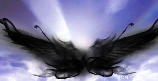 书中少数没|《斗破苍穹》中异火排名大全