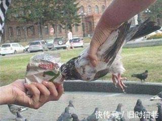 |搞笑GIF趣图:大姐,对不起都是我的错,您别生气了!