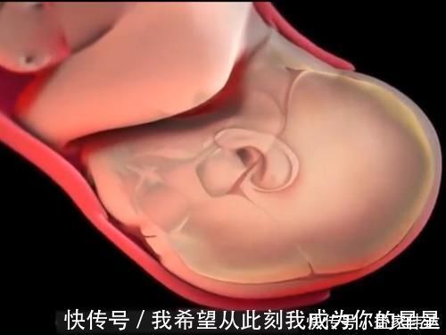 泪奔|顺产的全过程到底是怎样的,生而为人需了解,请勿泪奔