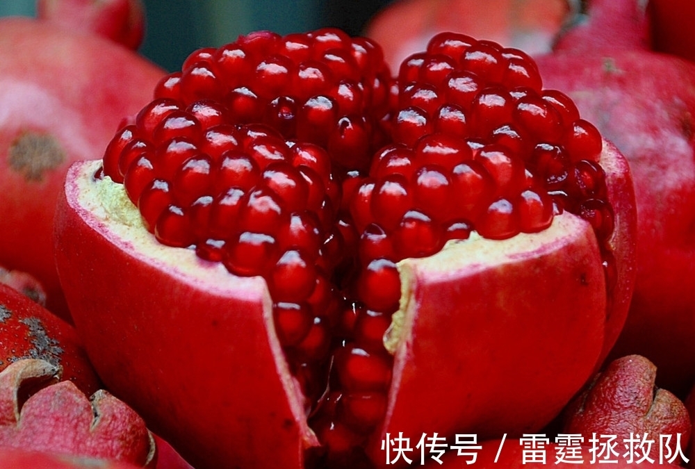 3种“吉利树”,家里种一棵,多福高寿,子孙也受益